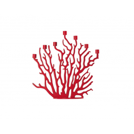 Driade Tenochtitlan by Vittorio Locatelli