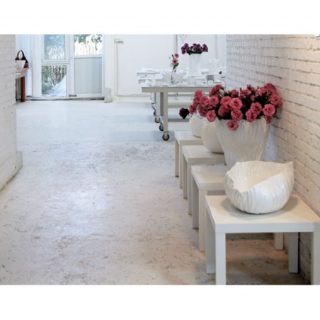 Driade Adelaide III by Xie Dong