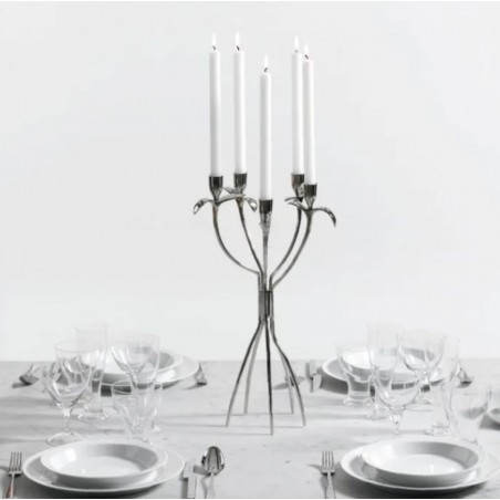 Driade Antonietta by Borek Sipek