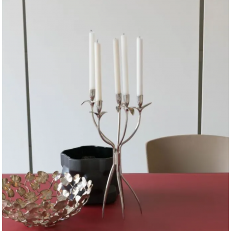 Driade Antonietta by Borek Sipek