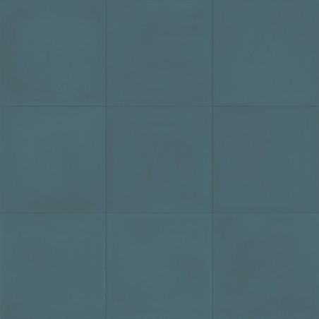 Ragno Contrasti Ottanio