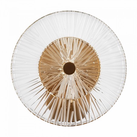 Maytoni Modern, Lampe murale Aster