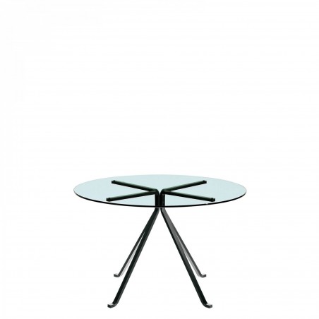 Driade Cugino by Enzo Mari