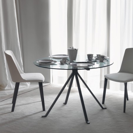 Driade Cugino by Enzo Mari