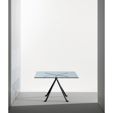 Driade Cugino by Enzo Mari