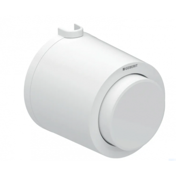 Geberit Tipo01, Plaque extérieure monotone