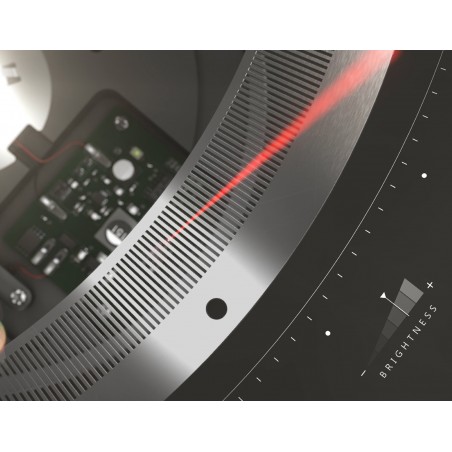 Lumina Eva Table lamp