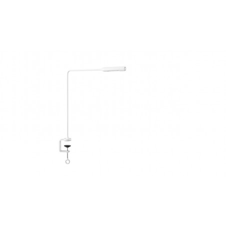Lumina Flo Clamp Table lamp