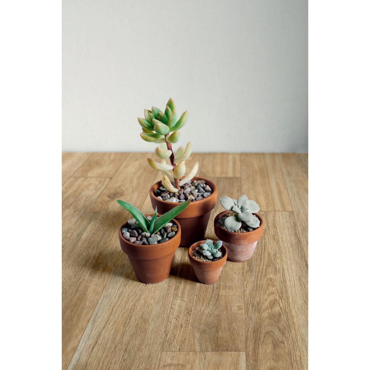 Ragno Woodglam Naturale