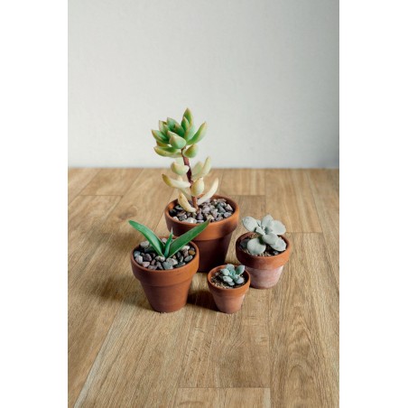 Ragno Woodglam Naturale