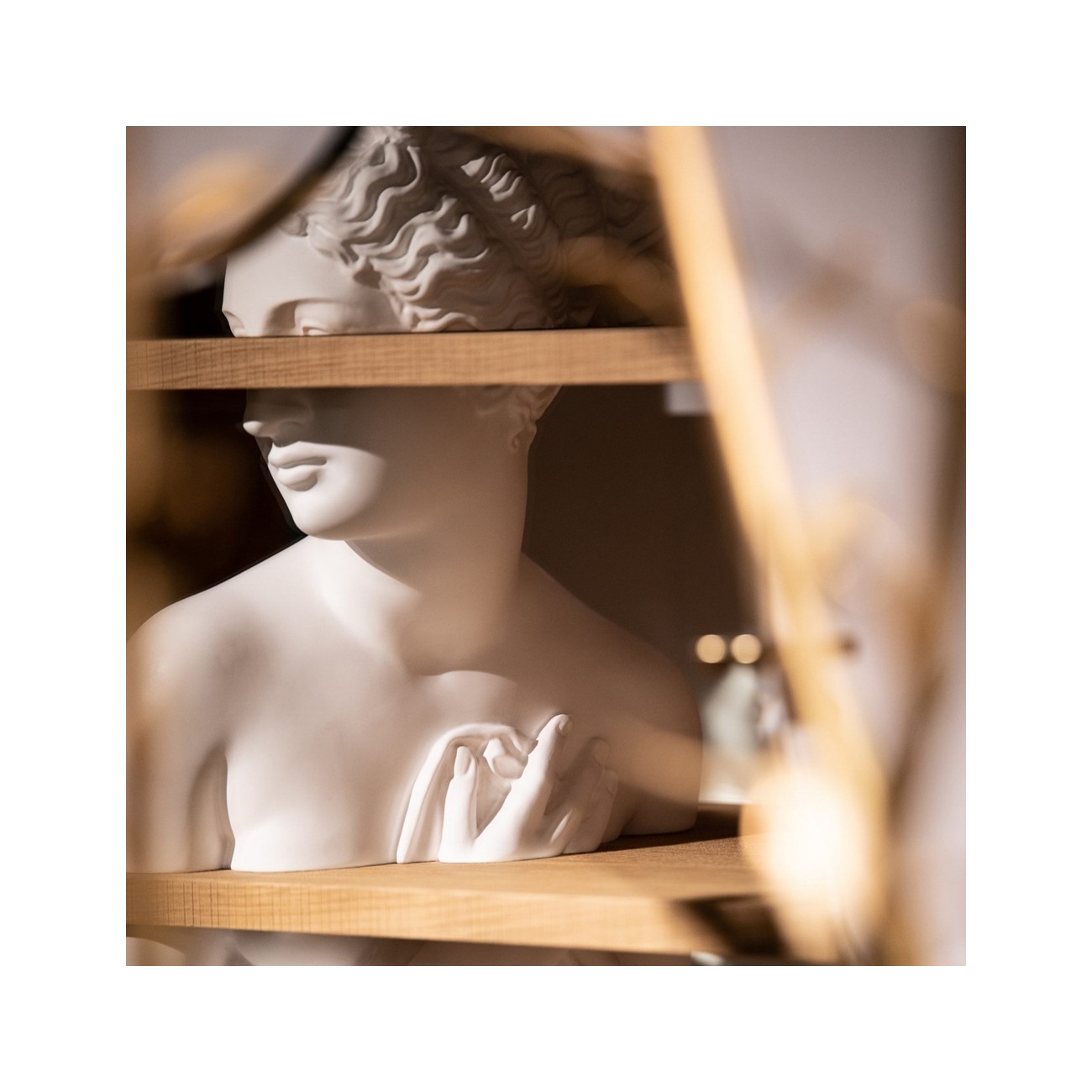 Driade Venus by Fabio Novembre