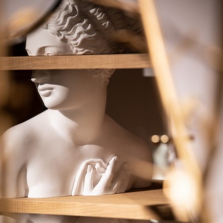 Driade Venus by Fabio Novembre