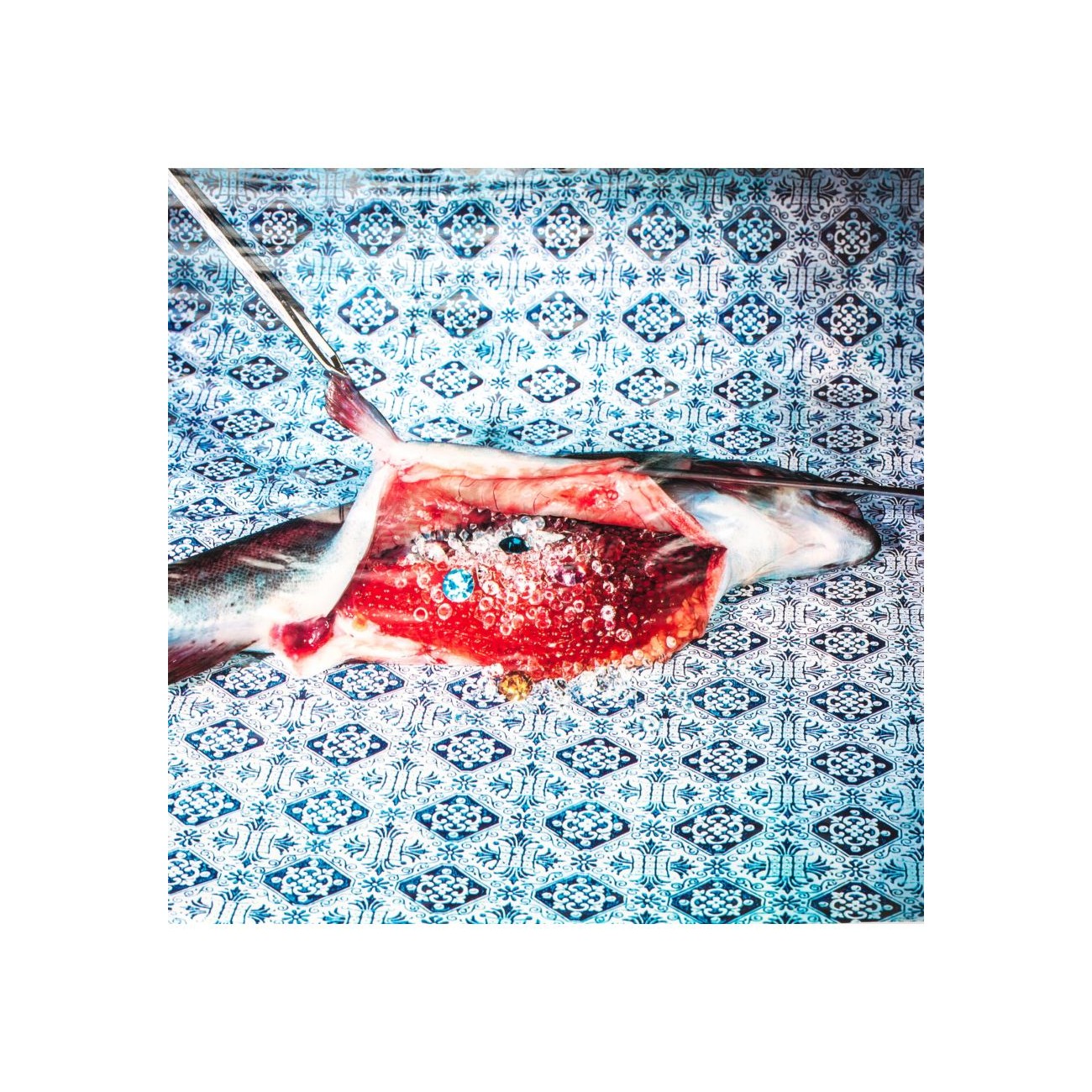 SELETTI Nappe Poisson