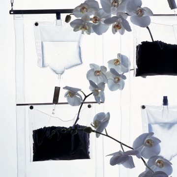 Driade Erbale by Becchelli, Bortolani, Maffei