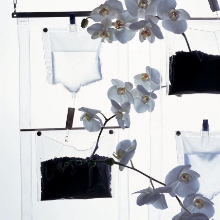 Driade Erbale by Becchelli, Bortolani, Maffei