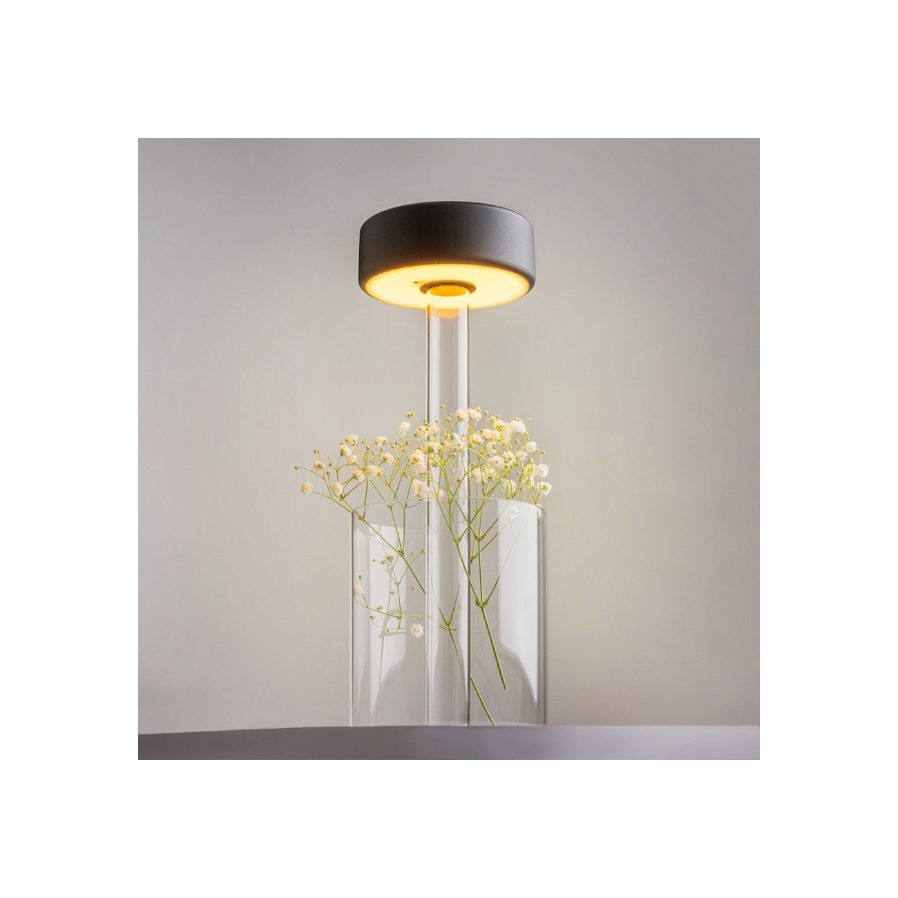 MAYTONI -  AI Collaboration, Battery Spy