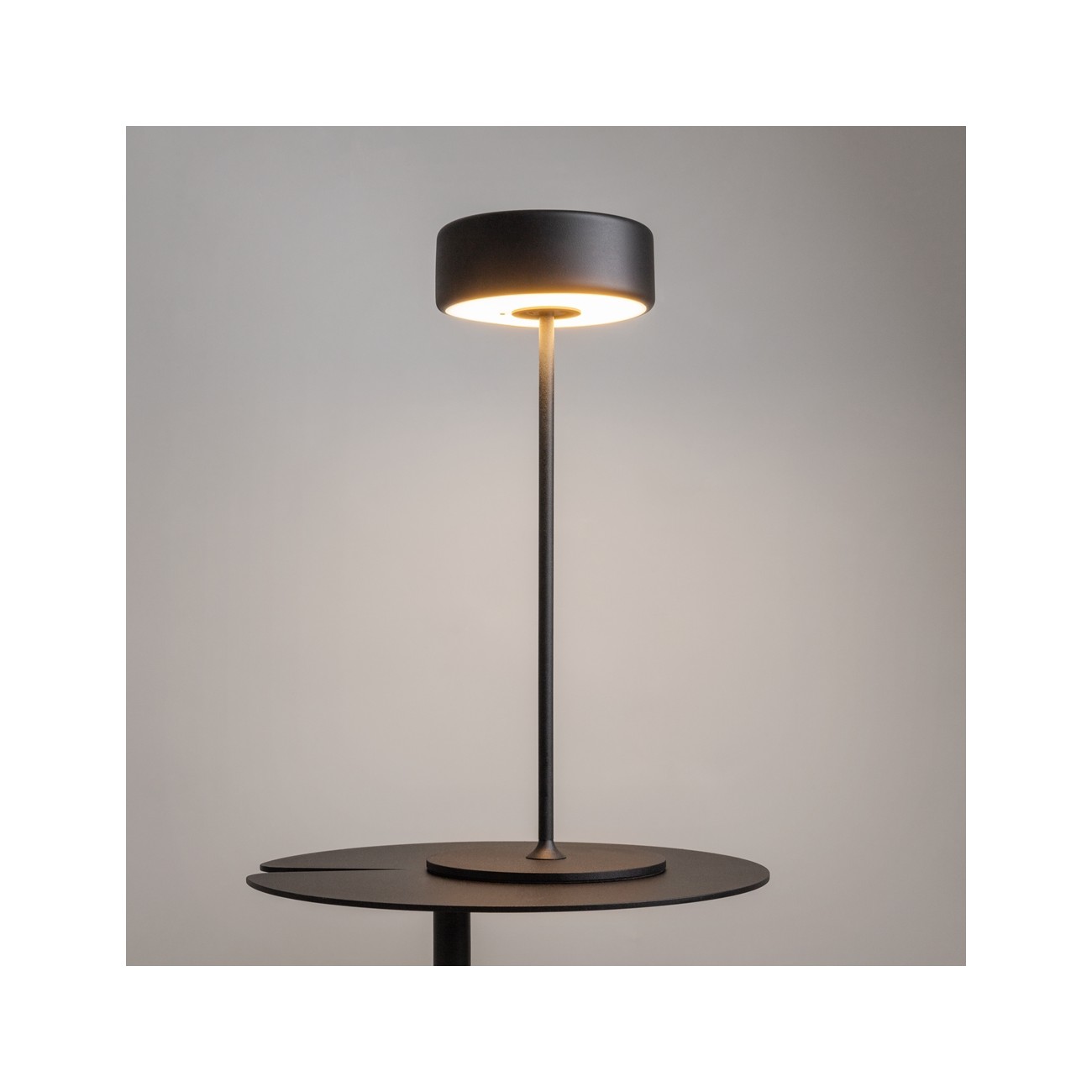 MAYTONI - AI Collaboration, Spia della batteria