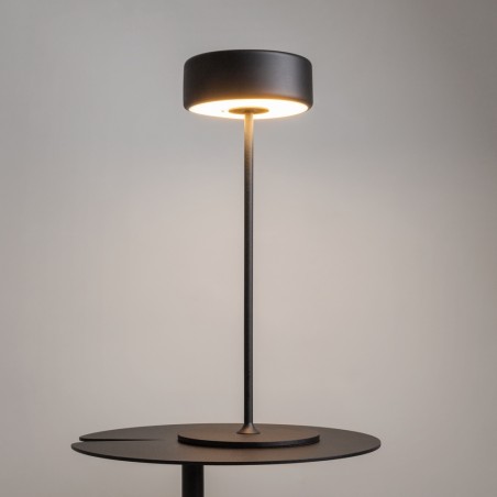 MAYTONI - AI Collaboration, Spia della batteria