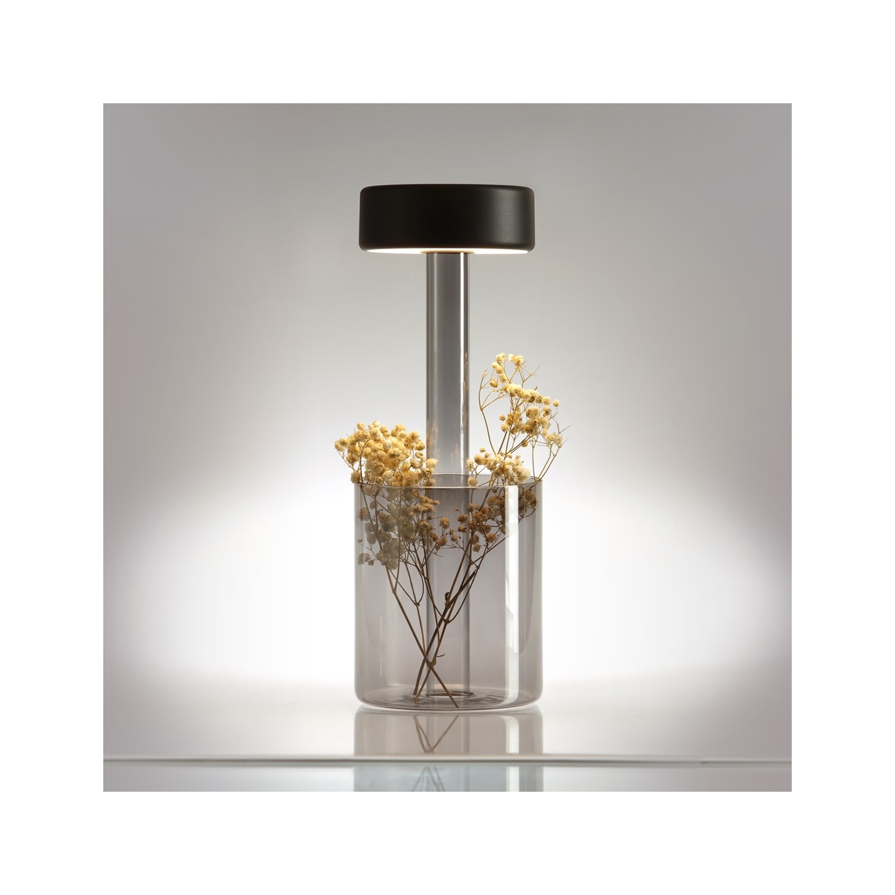 MAYTONI - AI Collaboration, Espion de batterie