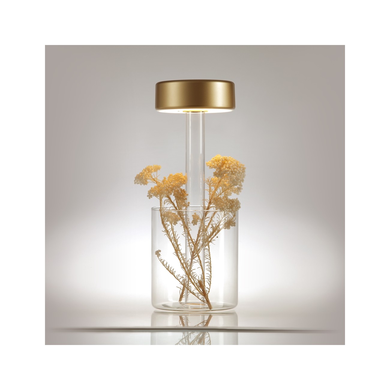 MAYTONI - AI Collaboration, Spia della batteria