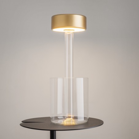 MAYTONI -AI Collaboration, Espion de batterie