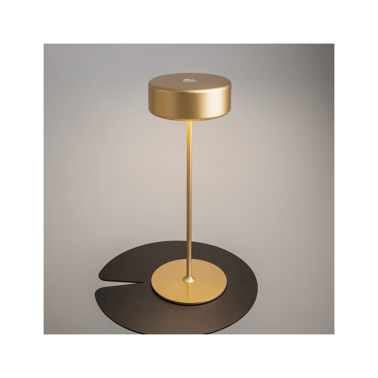 MAYTONI - AI Collaboration,  Espion de batterie