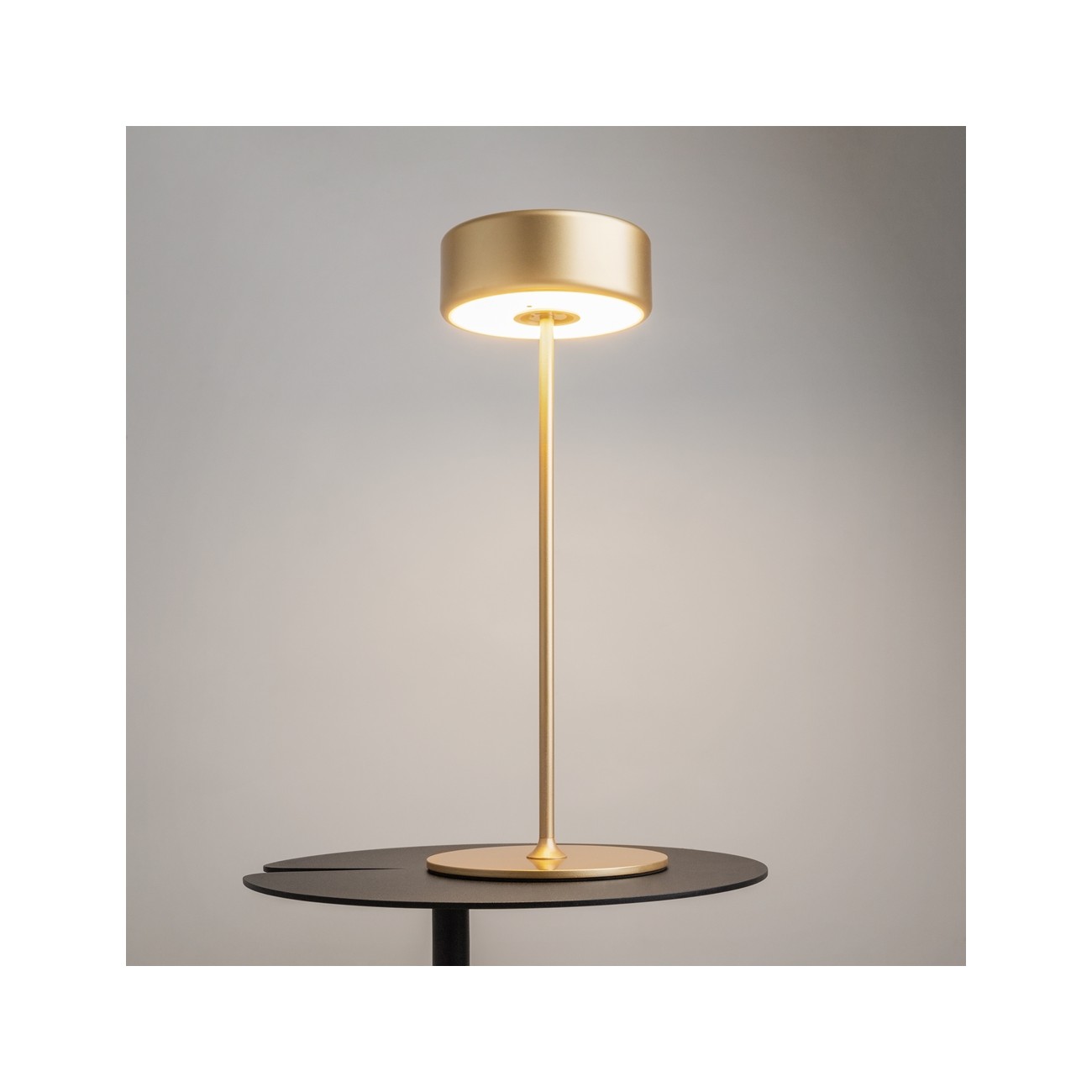 MAYTONI - AI Collaboration,  Espion de batterie