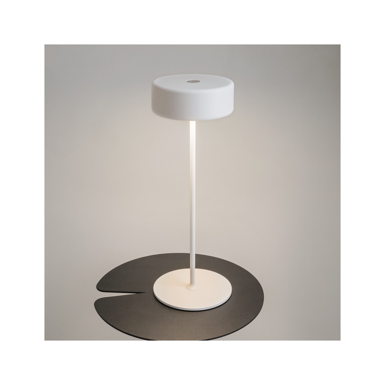 MAYTONI - AI Collaboration, Espion de batterie