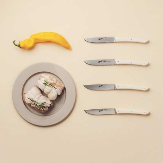 Set 4 Coltelli Bistecca COLOR Berkel