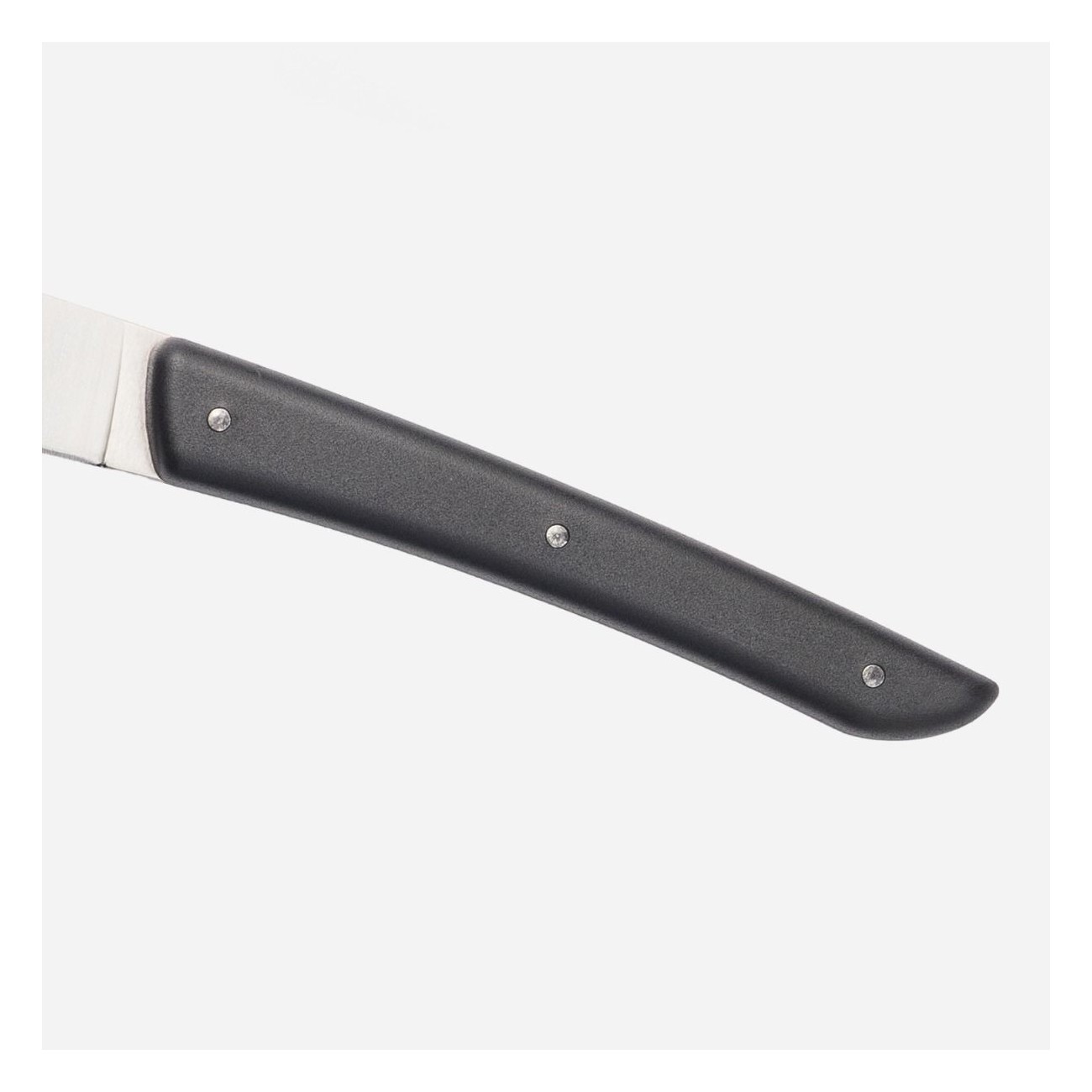 Set 4 Coltelli Bistecca COLOR Berkel