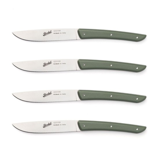 Set de 4 Couteaux de Table pour Viande Berkel