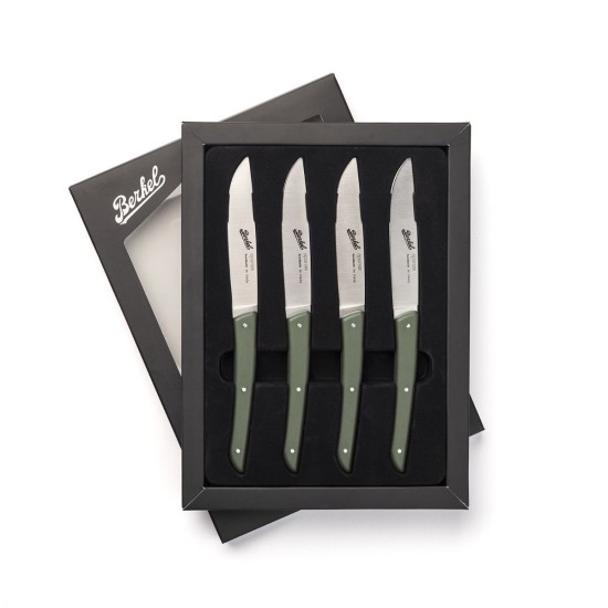 Set de 4 Couteaux de Table pour Viande Berkel