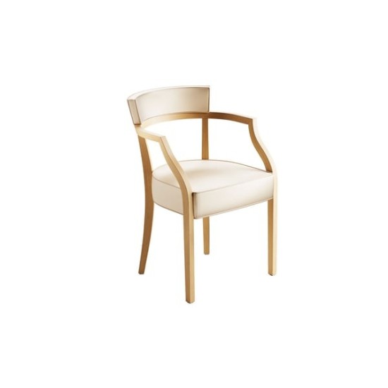 Driade fauteuil NEONEOZ Philippe Starck 2025