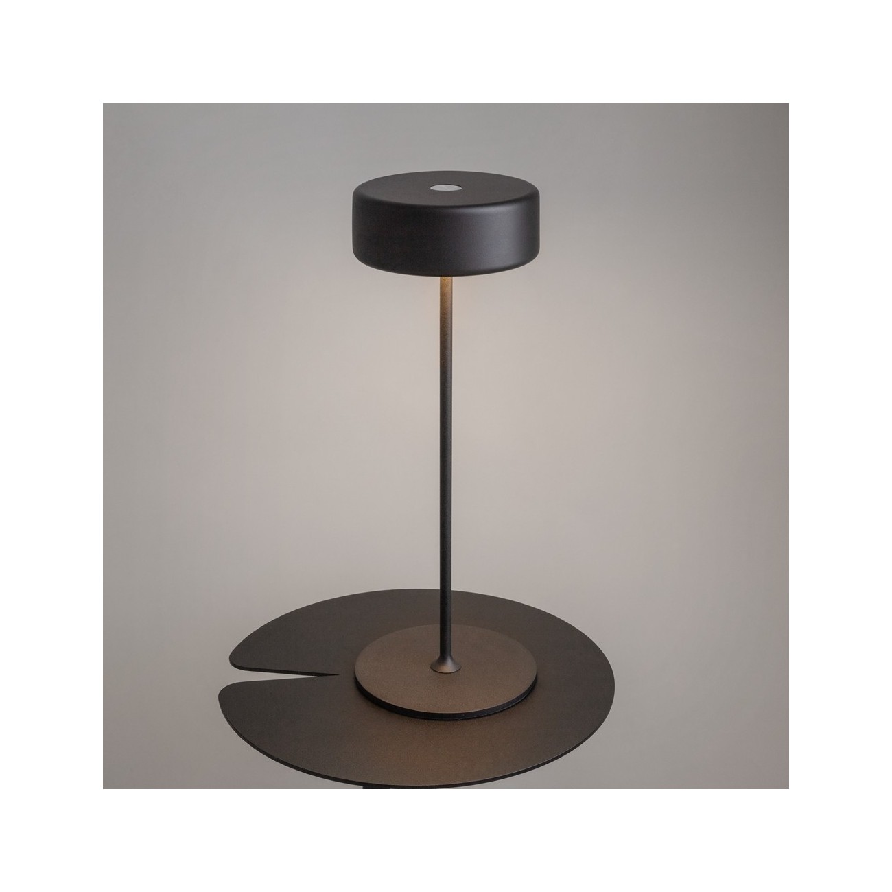 Maytoni battery lamp AI Collaboration