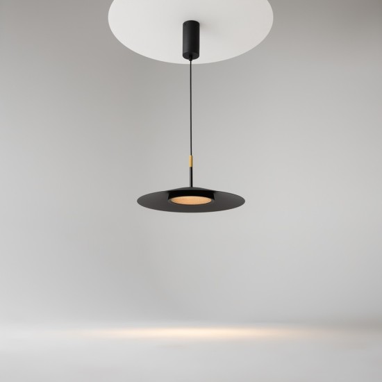 Maytoni Suspension Lamp EL