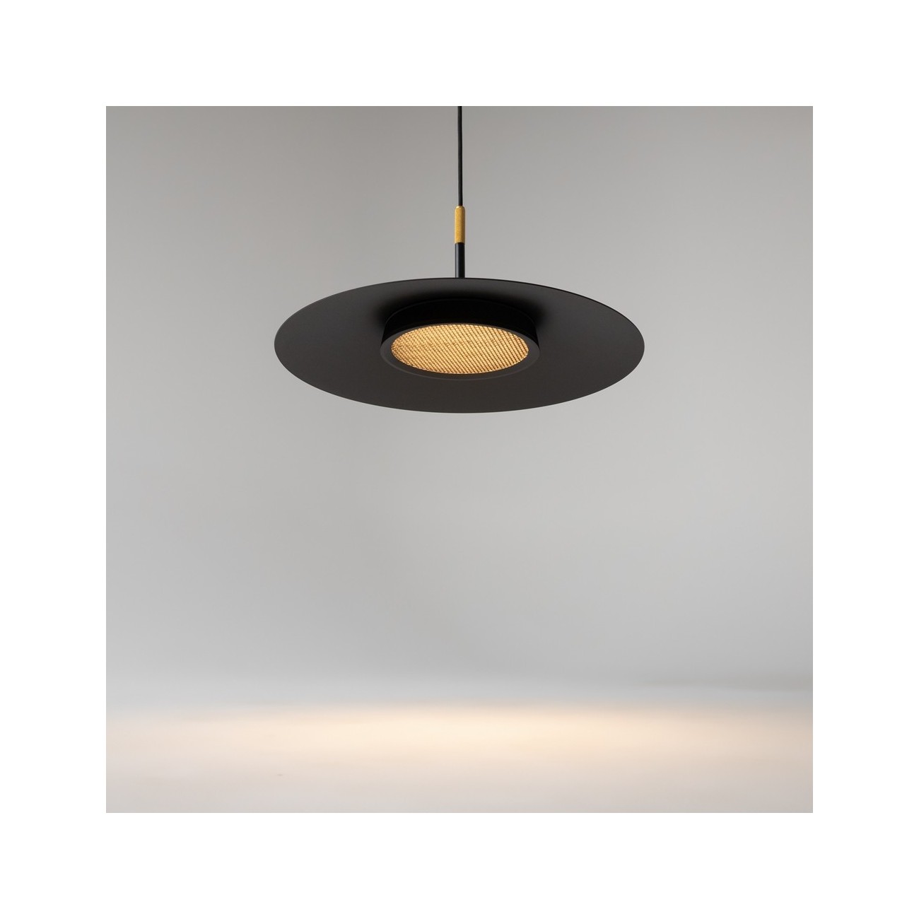 Maytoni Suspension Lamp EL