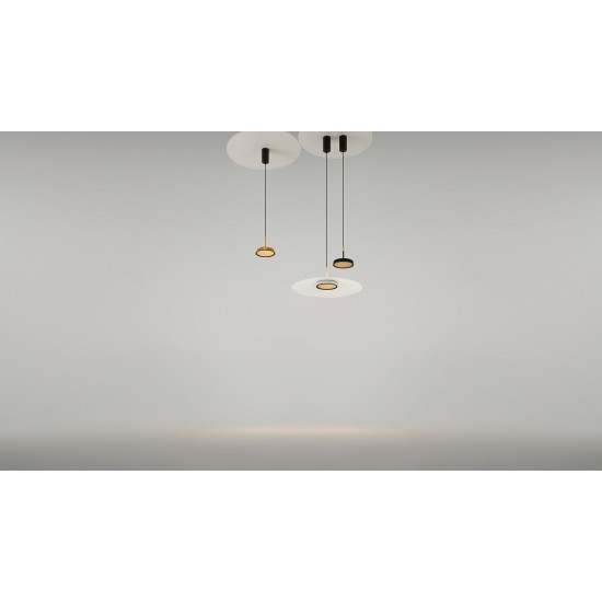 Maytoni Suspension Lamp EL