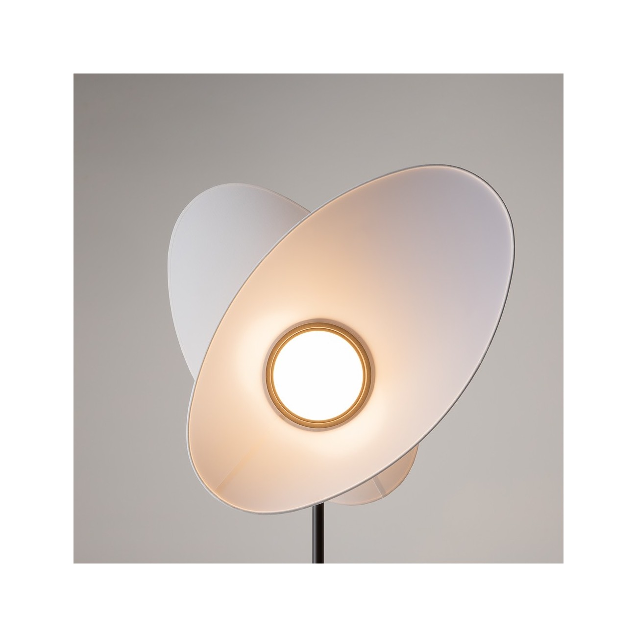 Maytoni Lampada da Terra (Lampada a Stelo) Evolution