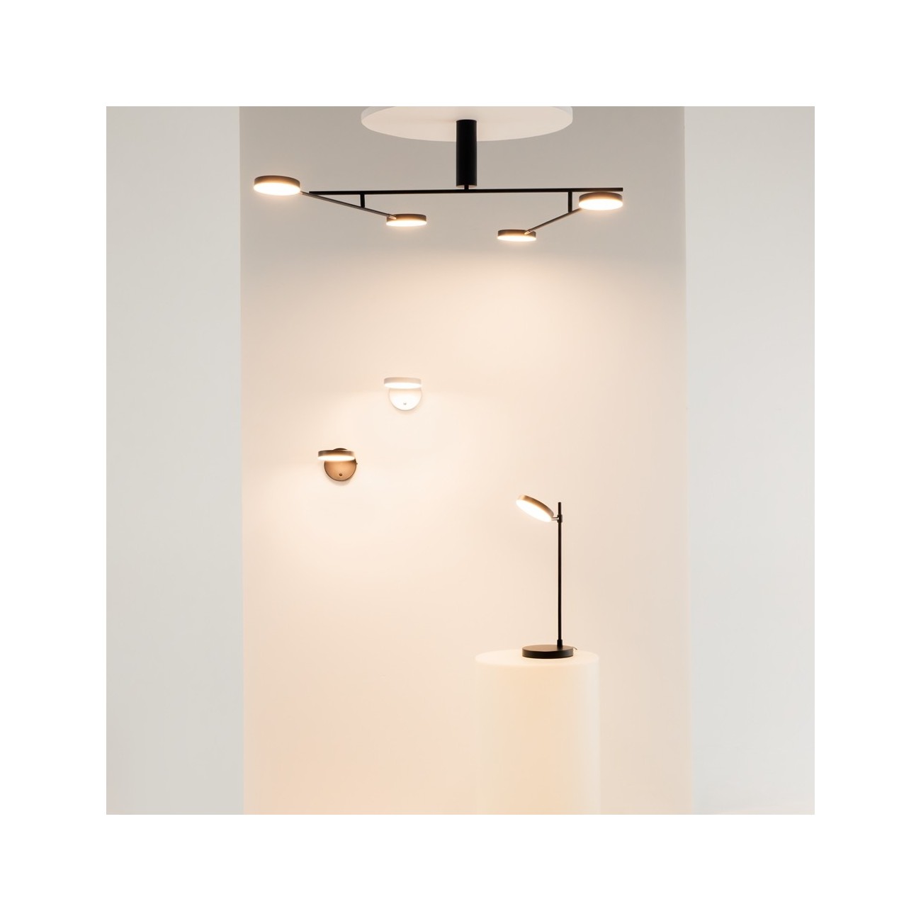 Maytoni ceiling light Fad