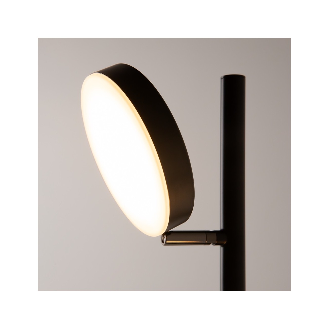 Maytoni Floor Lamp (Stem Lamp) Fad