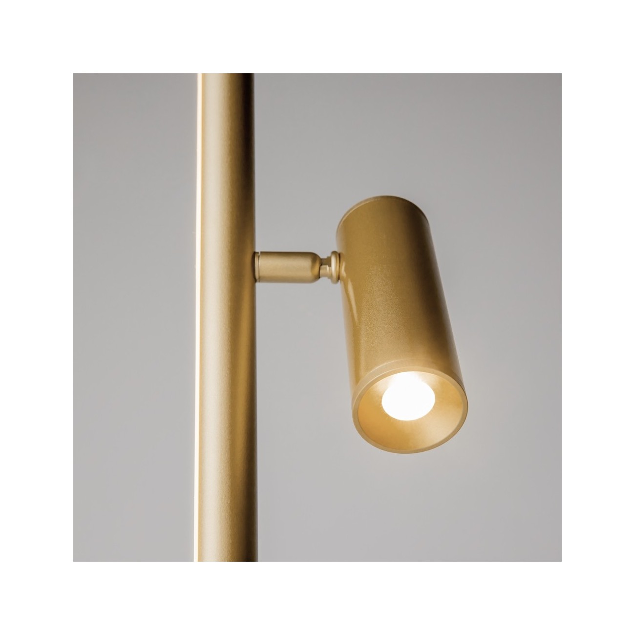 Maytoni Lampada da Terra (Lampada a Stelo) Thin