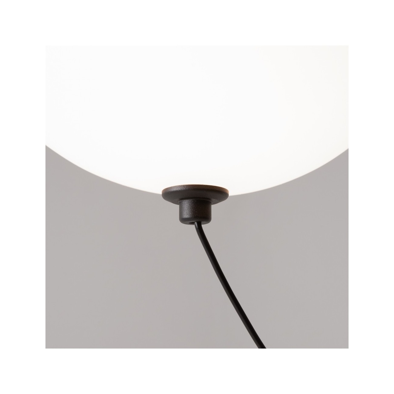 Maytoni Suspension Lamp Twins