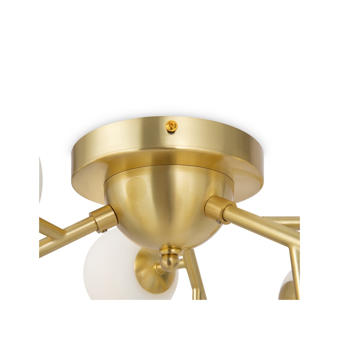 Maytoni ceiling light Dallas