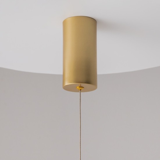 Maytoni suspension lamp Ray