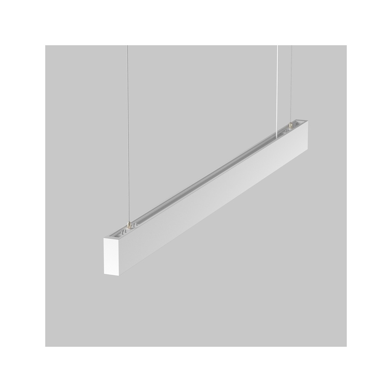 Maytoni Technical Pendant Suspension Lamp BASIS