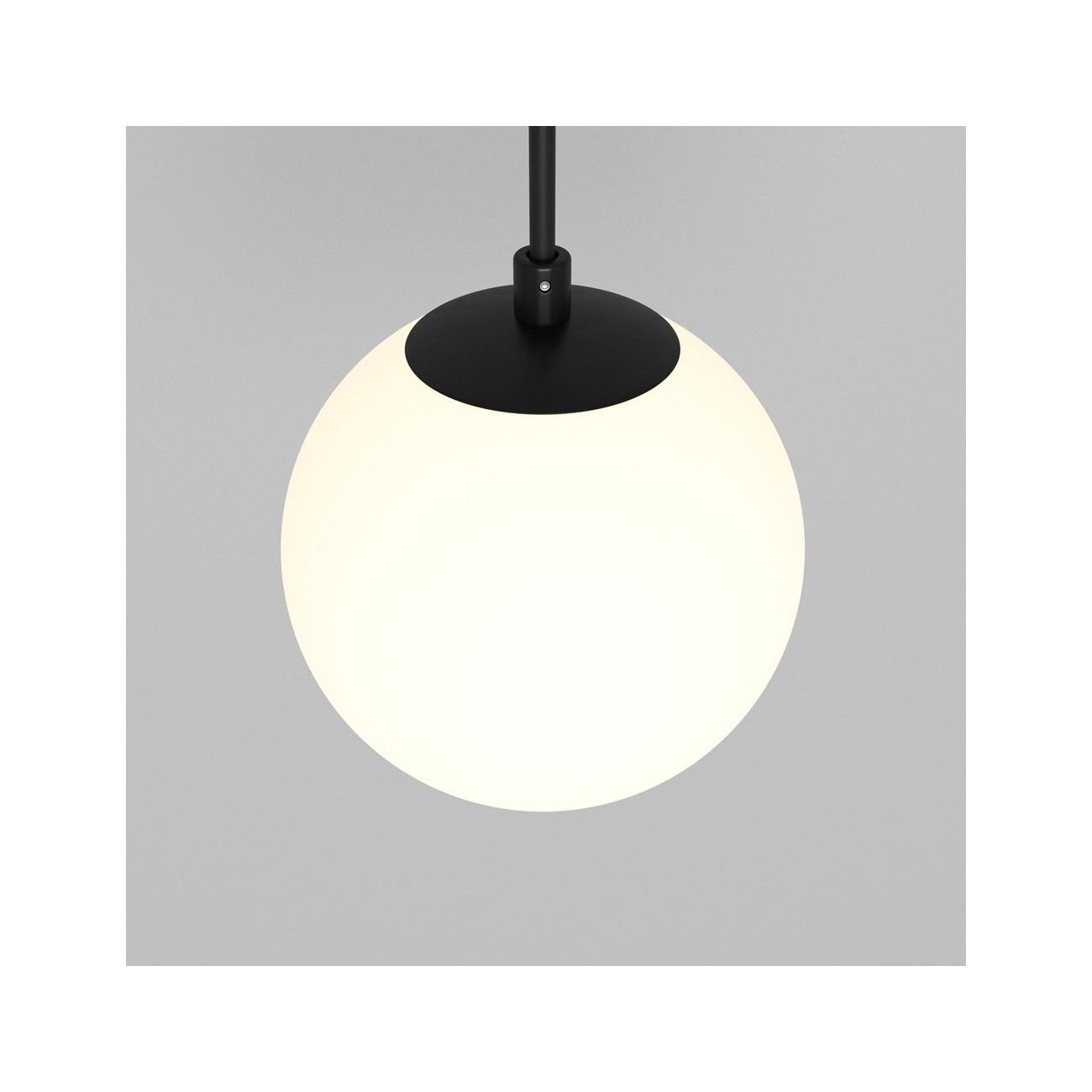 Maytoni Technical Pendant Suspension Lamp Luna