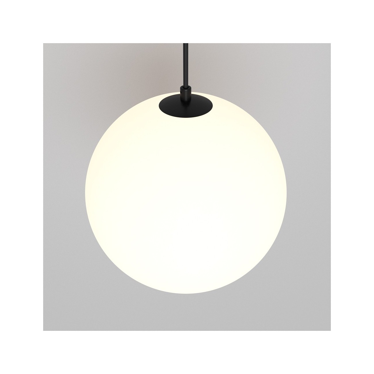 Maytoni Technical Pendant Suspension Lamp Luna