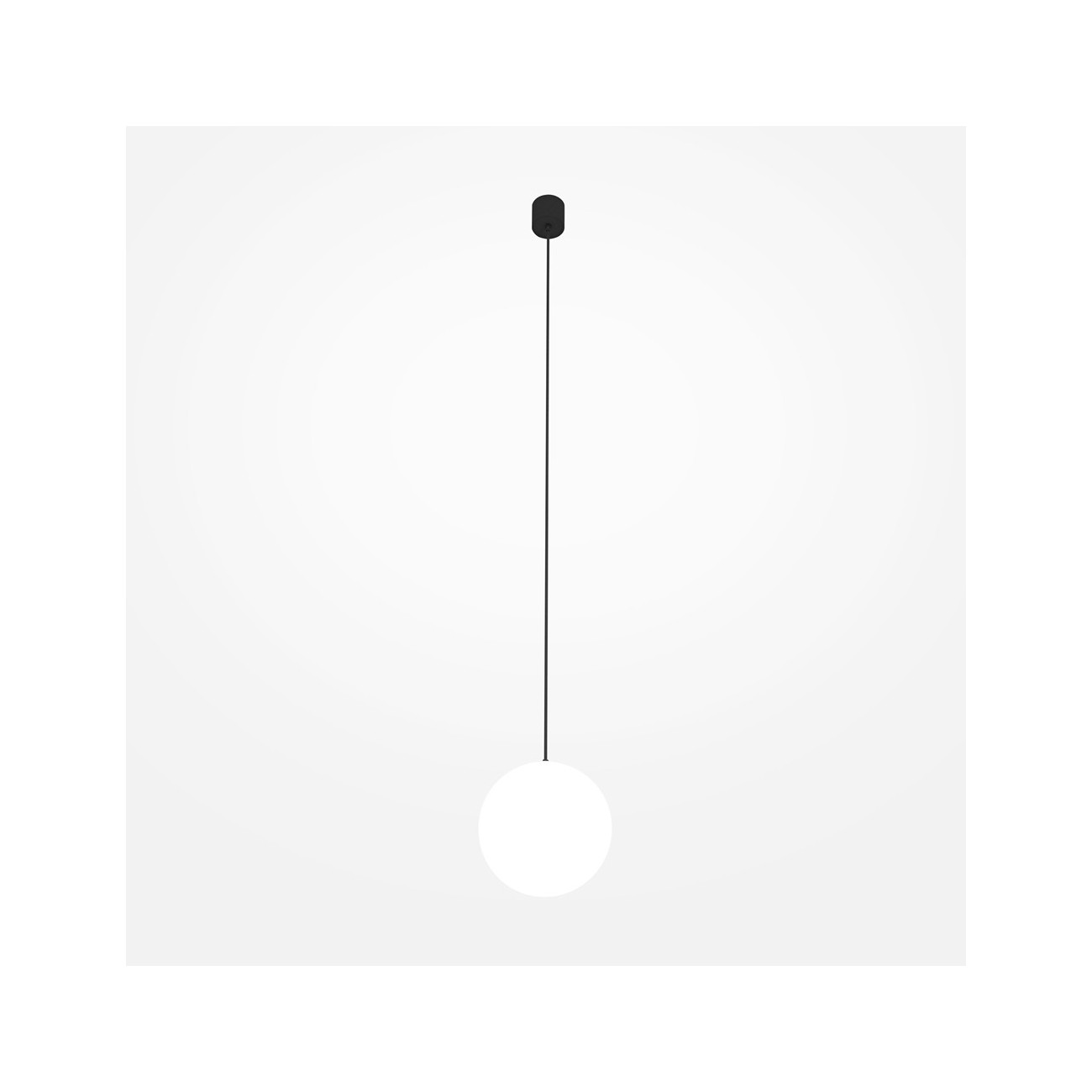 Maytoni Technical Pendant lamp a suspension Luna