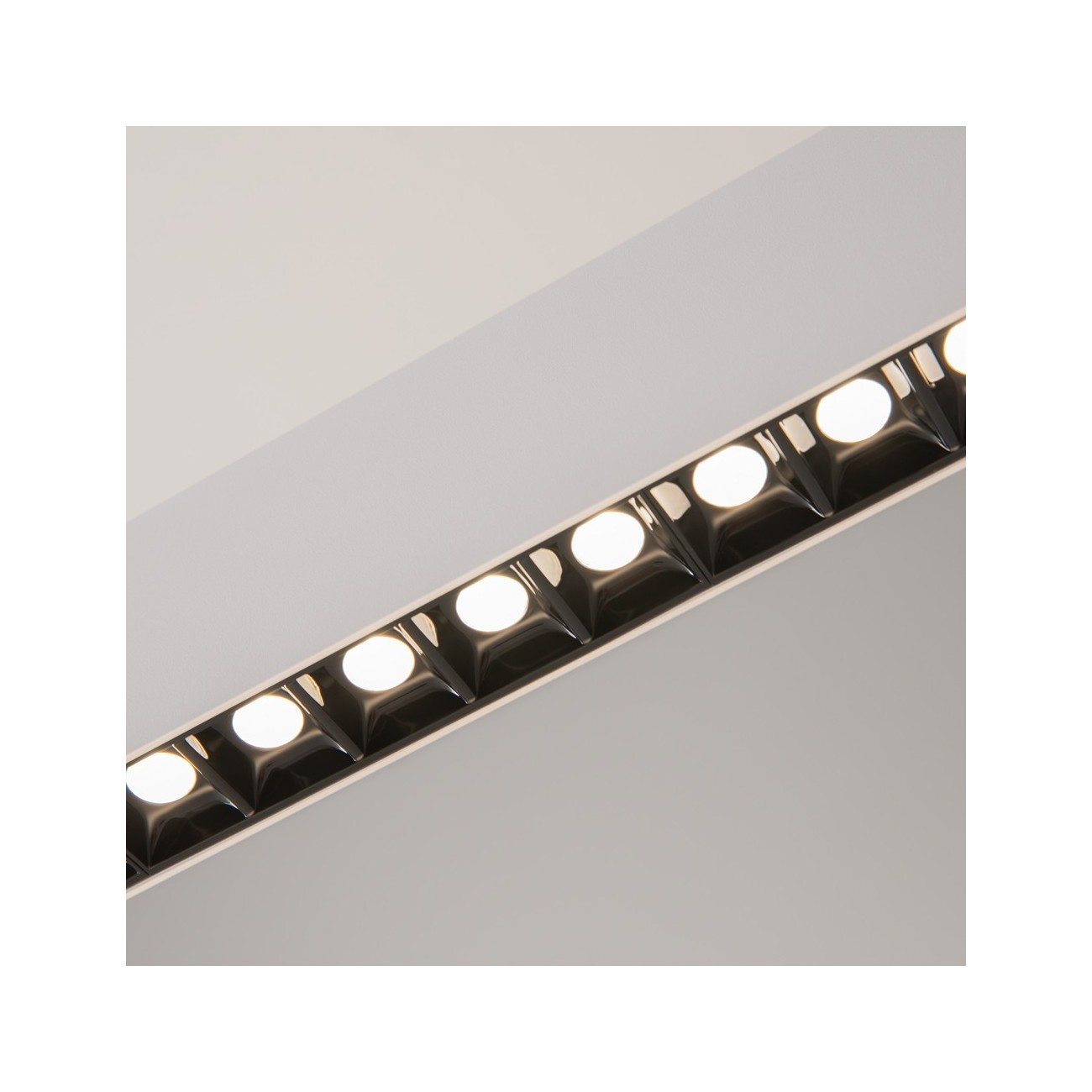 Maytoni Technical Pendant Suspension Lamp Points