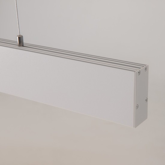Maytoni Technical Pendant lamp a suspension Points